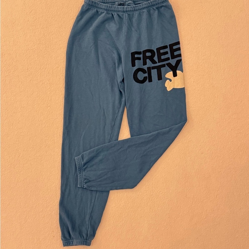 NWOT Freecity womens blue xs sweatpants!